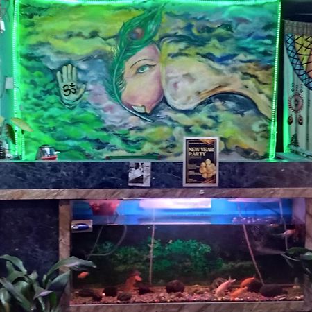 Big Tree Hostel 카트만두 외부 사진